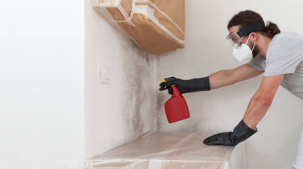 Professional Bathroom Mold Removal technician working in San Antonio, FL