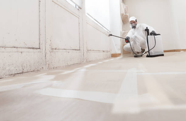 24/7 Emergency Bathroom Mold Removal experts in San Antonio, FL