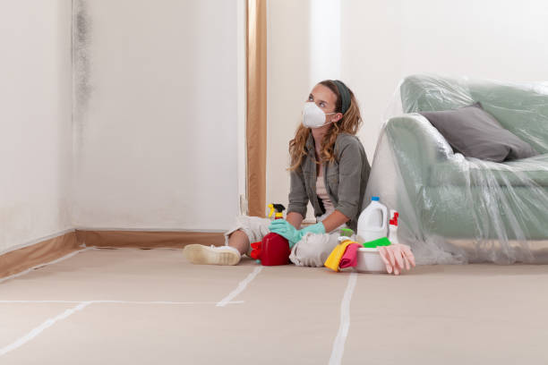 Reliable Bathroom Mold Removal contractor in San Antonio, FL by Mold Remediation HQ